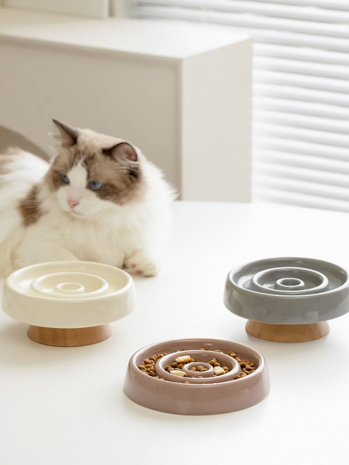 Interactive Slow Feeder Pet Bowl - Lilixa.store