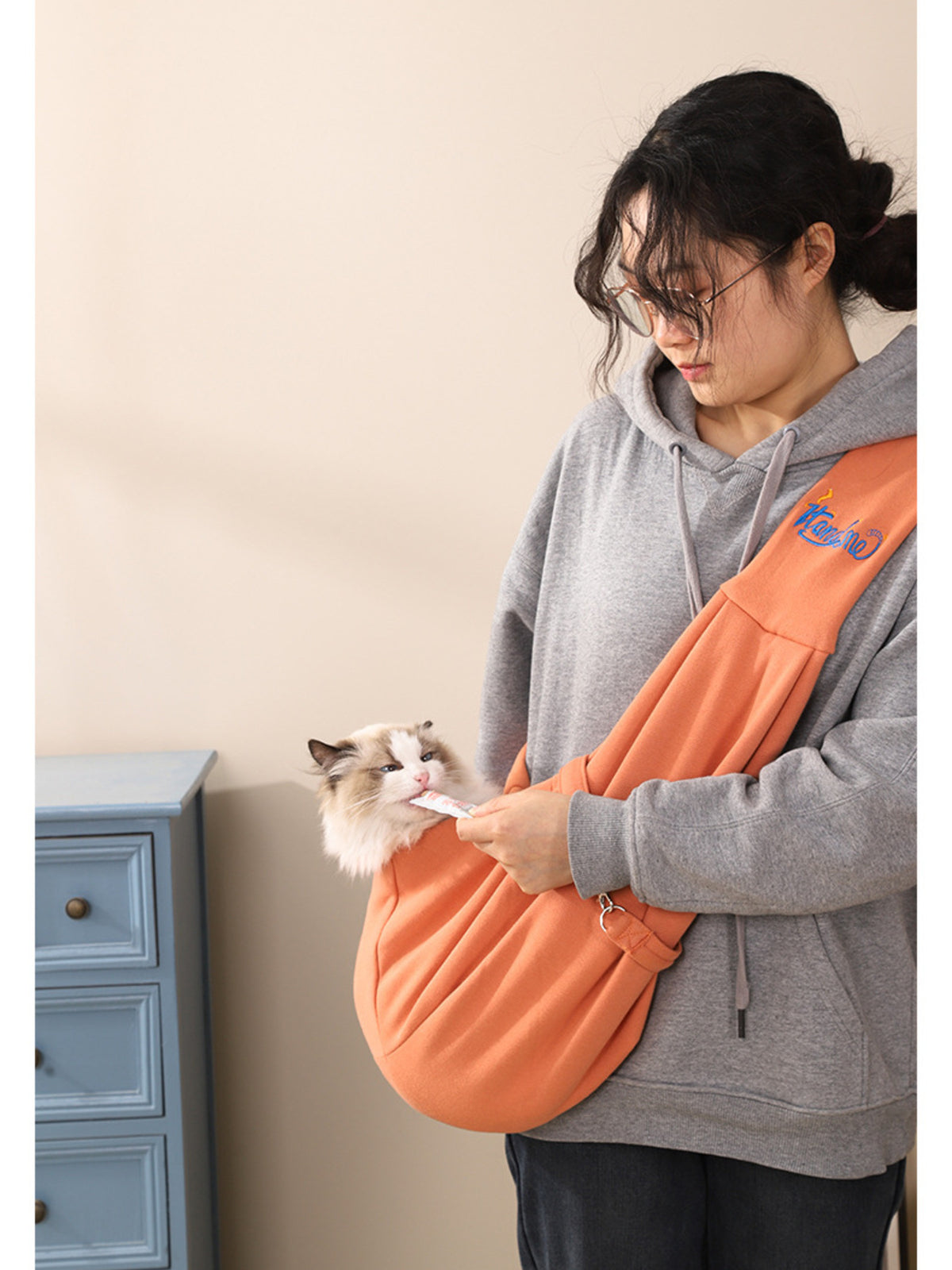 Comfortable Pet Carrier Sling Bag - Lilixa.store
