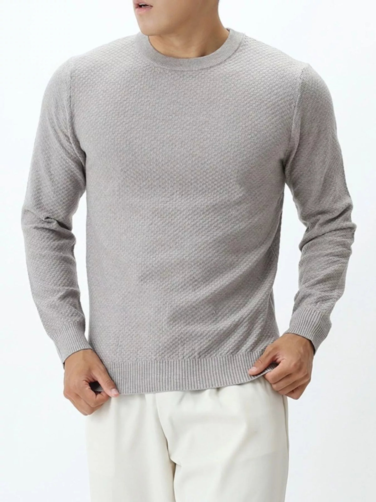 Men's Plus Size Textured Crew Neck Sweater
