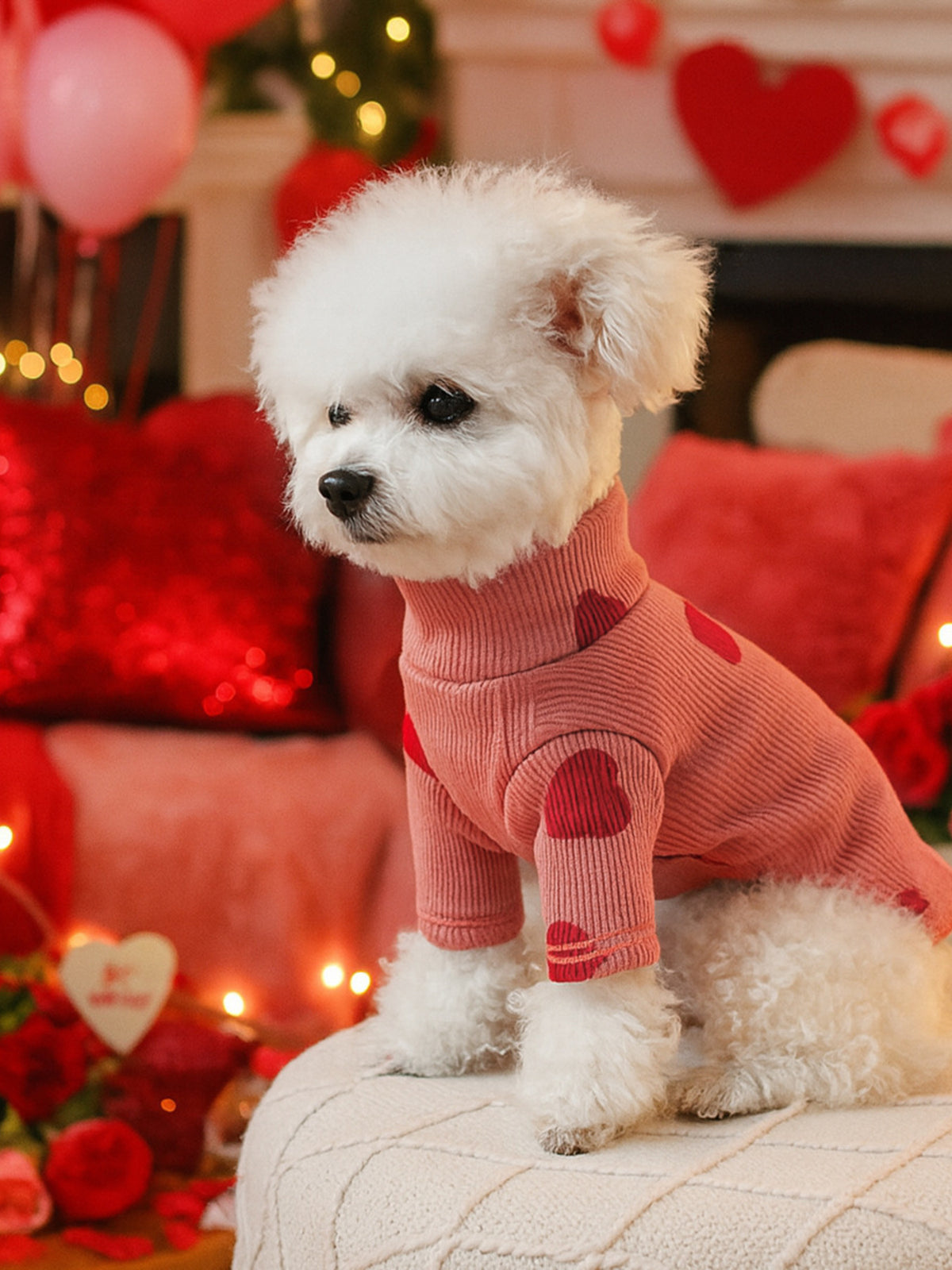 Heart Pattern Pet Sweater - Lilixa.store