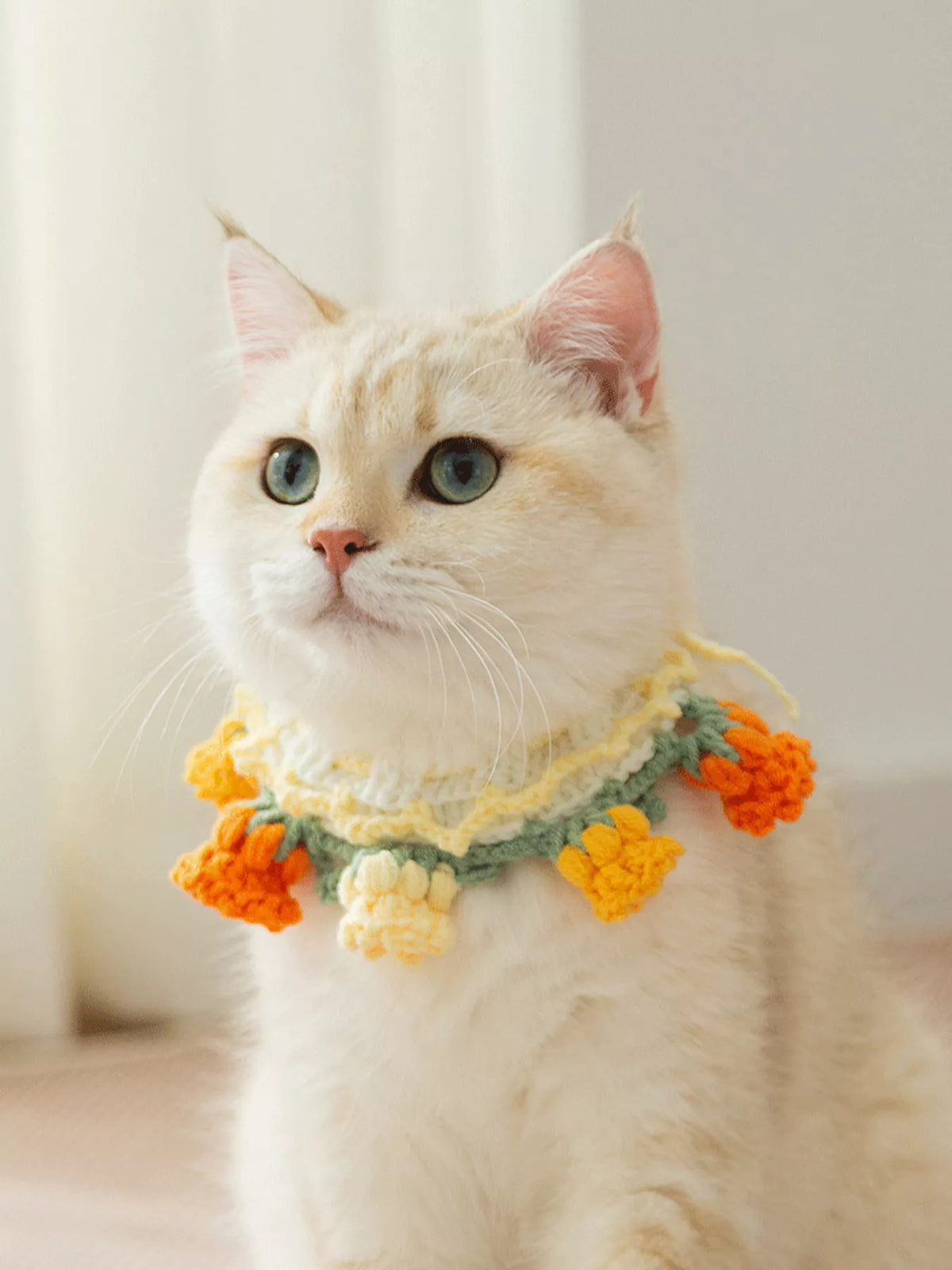 Knitted Floral Pet Collar - Lilixa.store