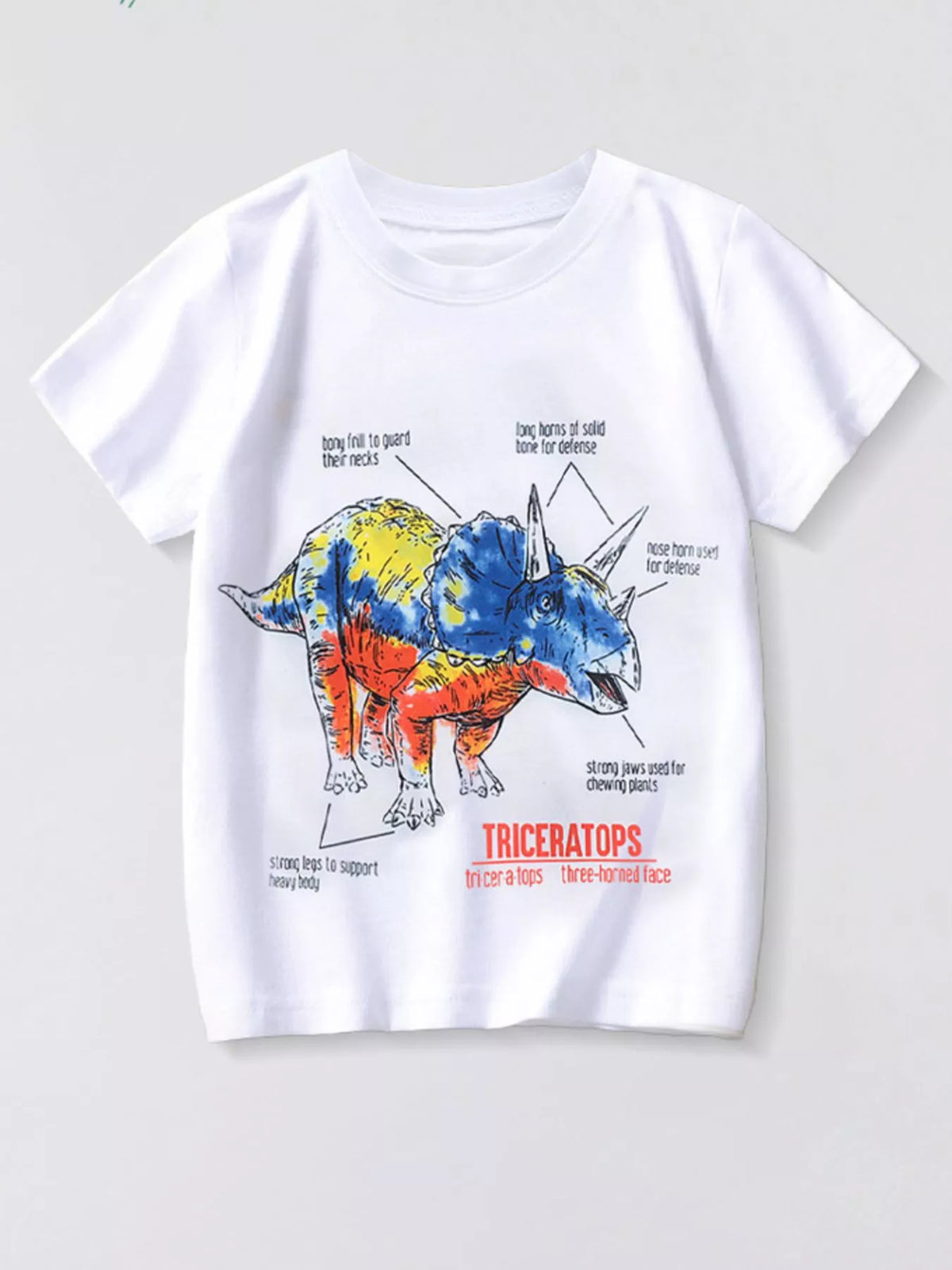 Children's Dinosaur Triceratops Graphic T-Shirt - Lilixa.store
