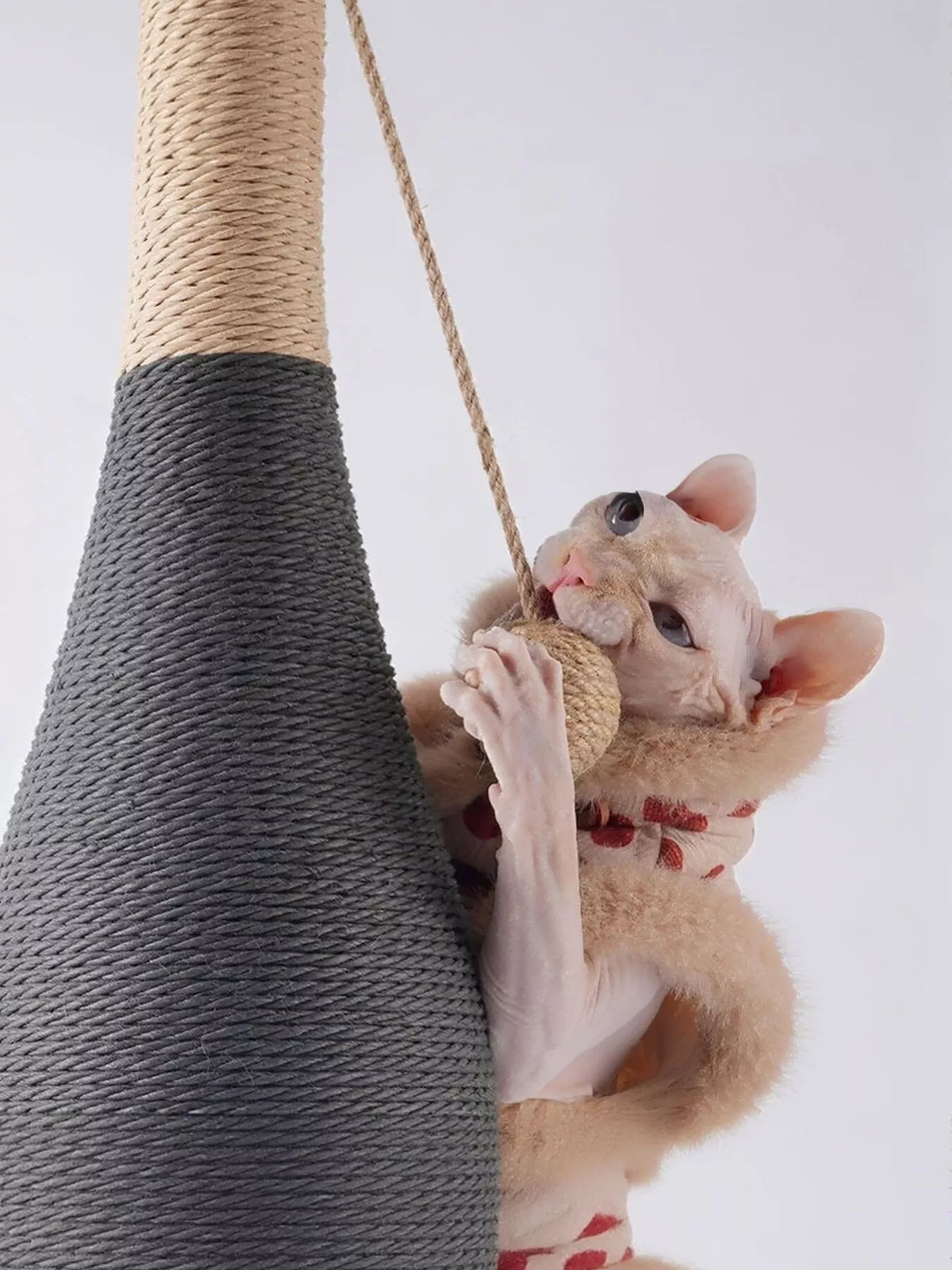 Champagne Bottle Style Cat Scratching Posts - Lilixa.store