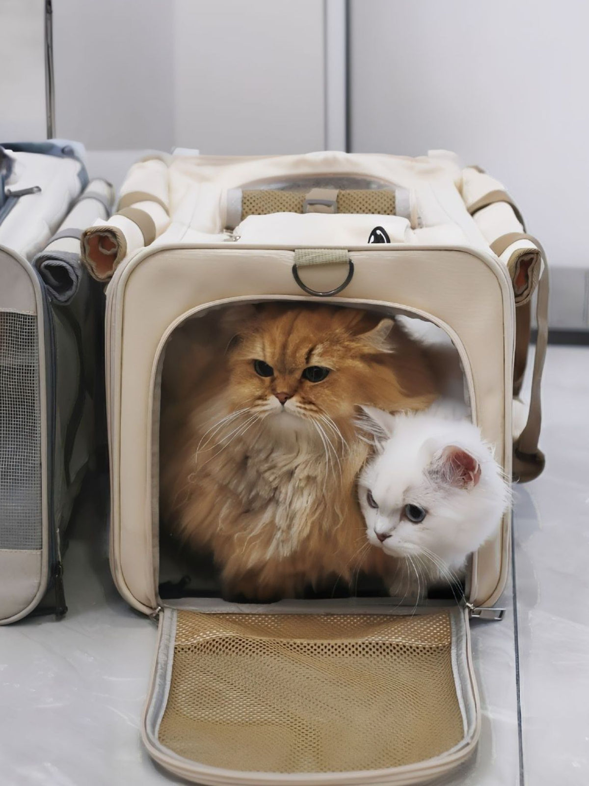 Comfortable Breathable Pet Carrier Bag - Lilixa.store