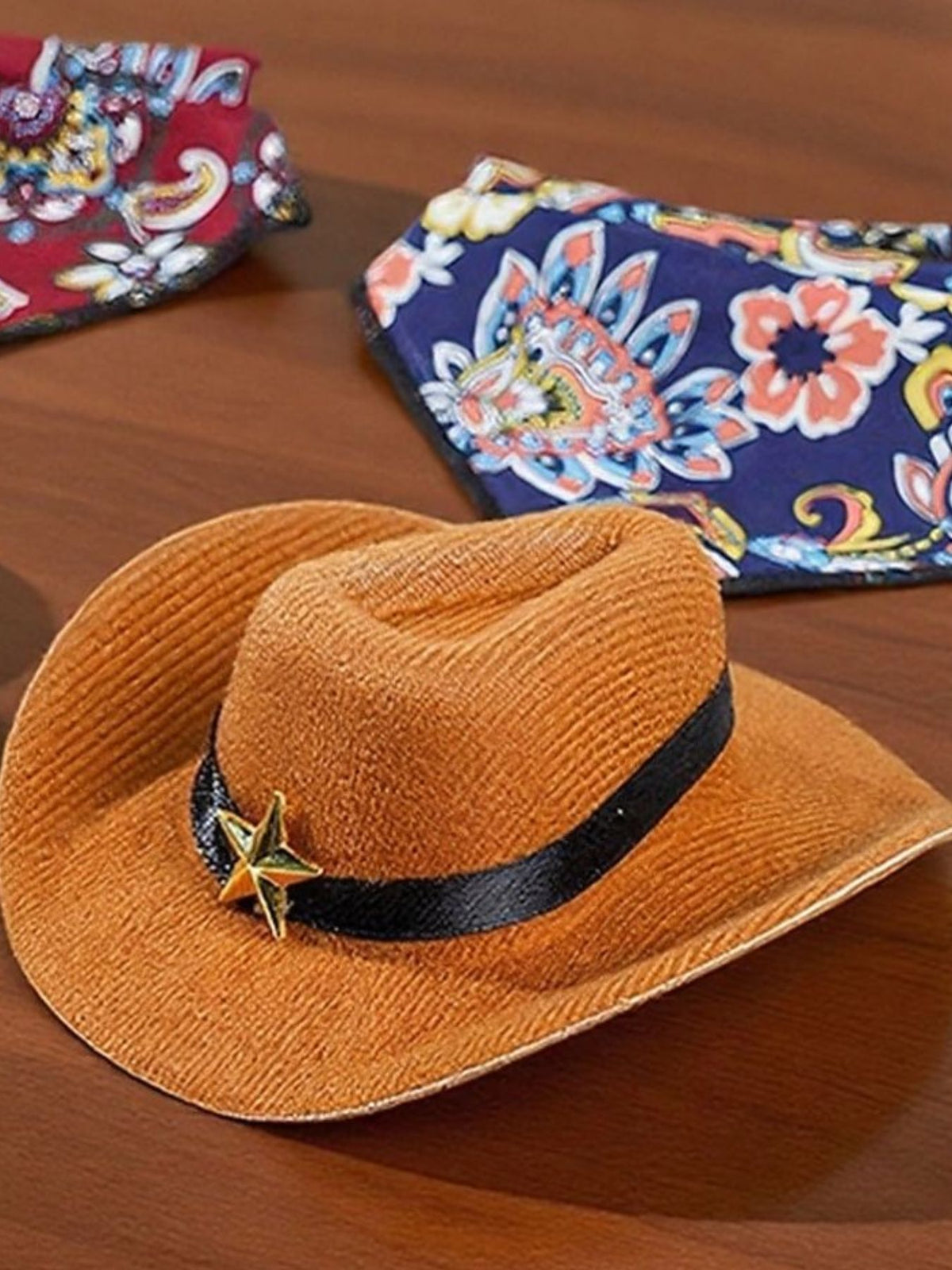Paisley Print Pet Scarf & Hat - Lilixa.store