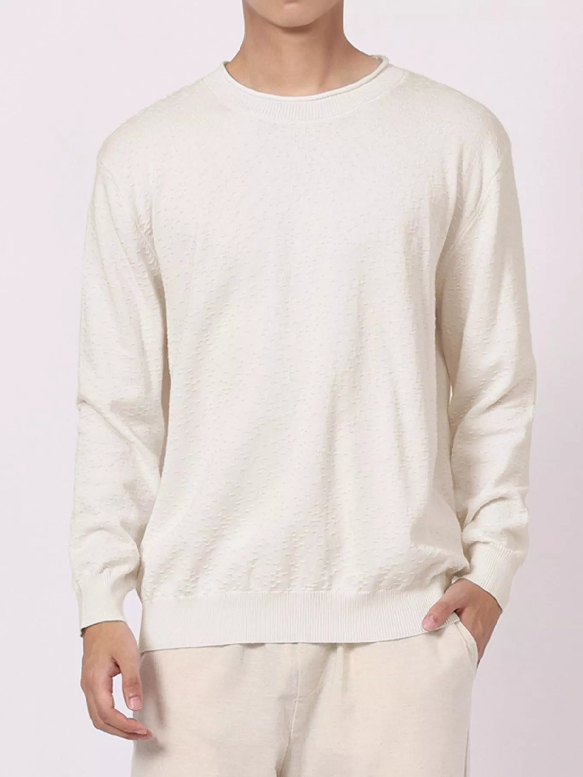 Men's Plus Size Textured Crew Neck Sweater in Beige