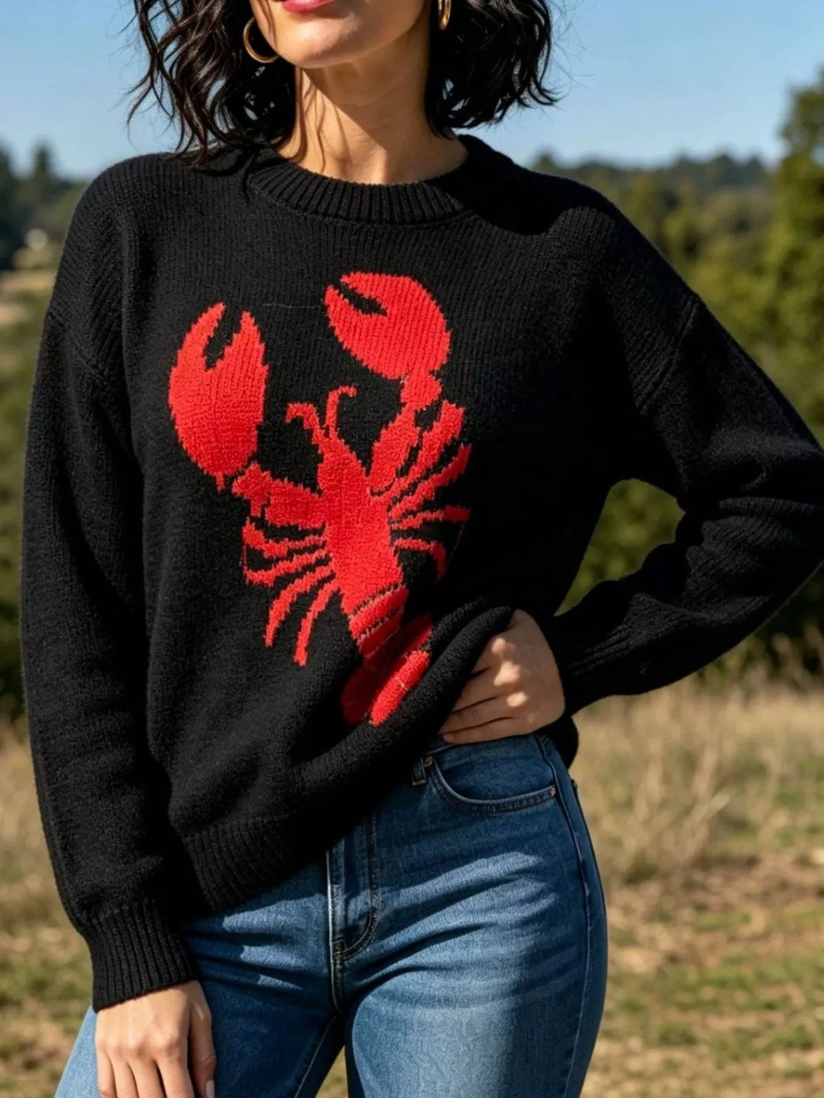 Lobster Graphic Crew Neck Sweater - Lilixa.store