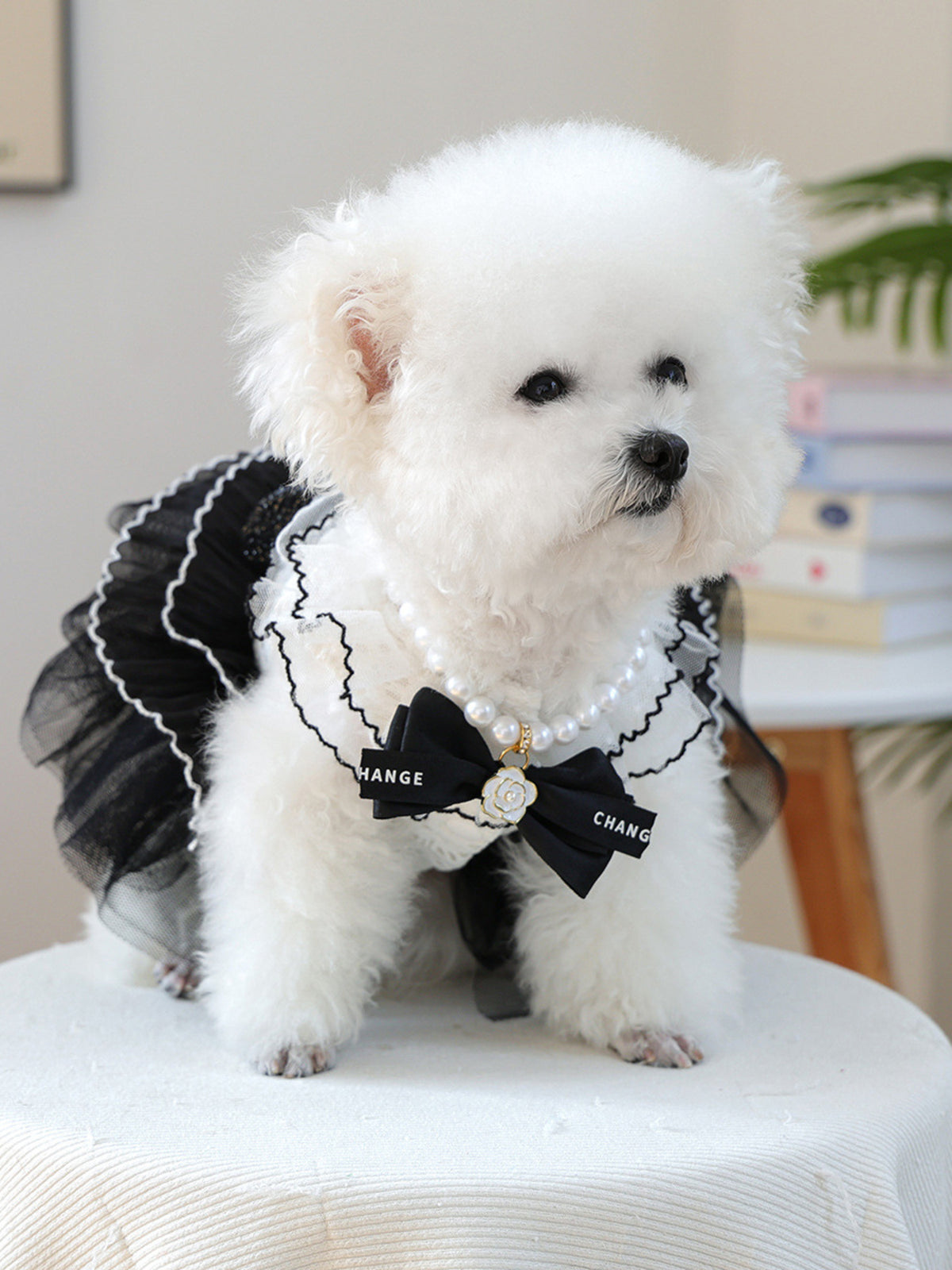 Pearl Bowknot Pet Necklace - Lilixa.store