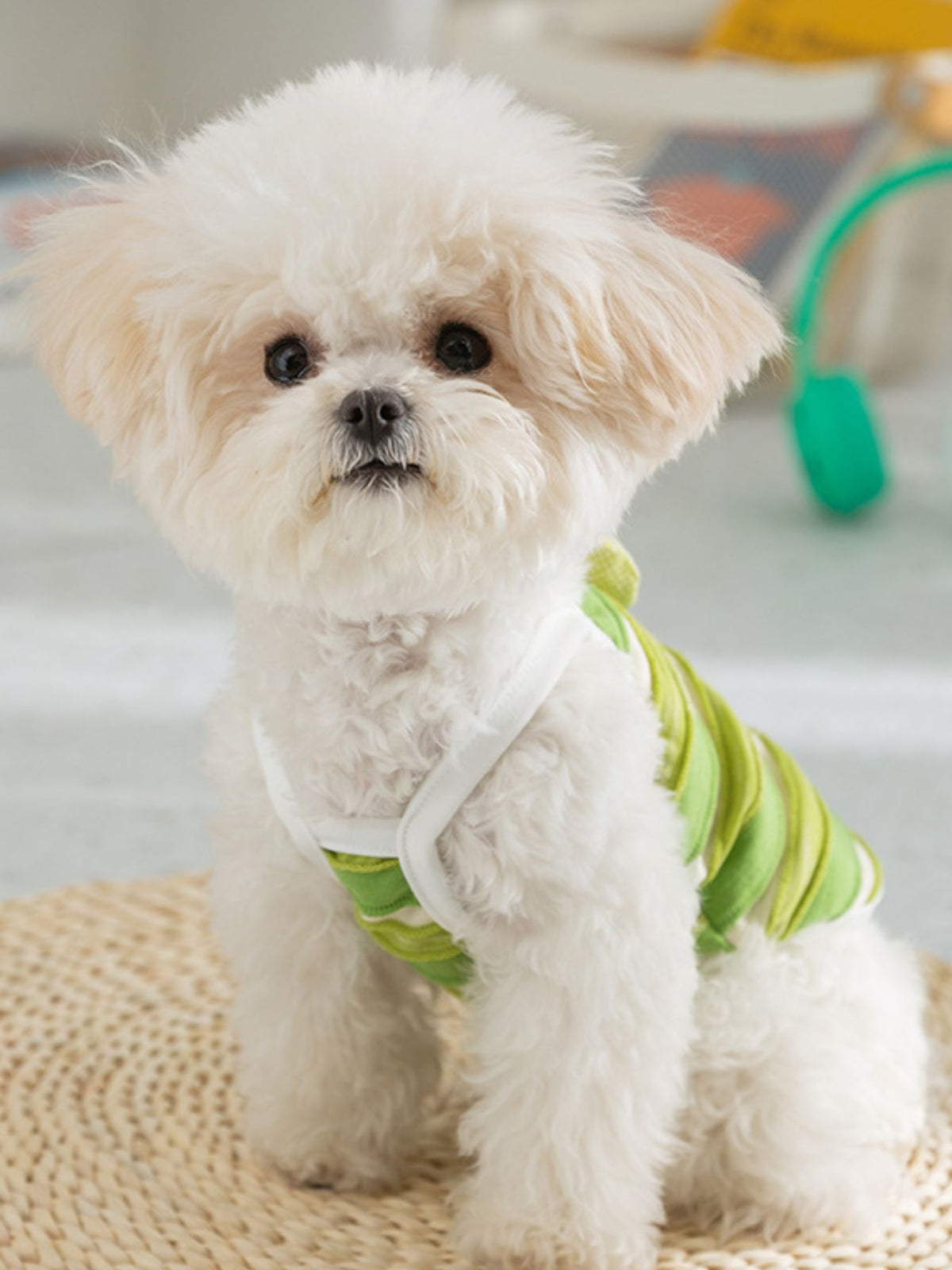 Striped Breathable Pet Top - Lilixa.store