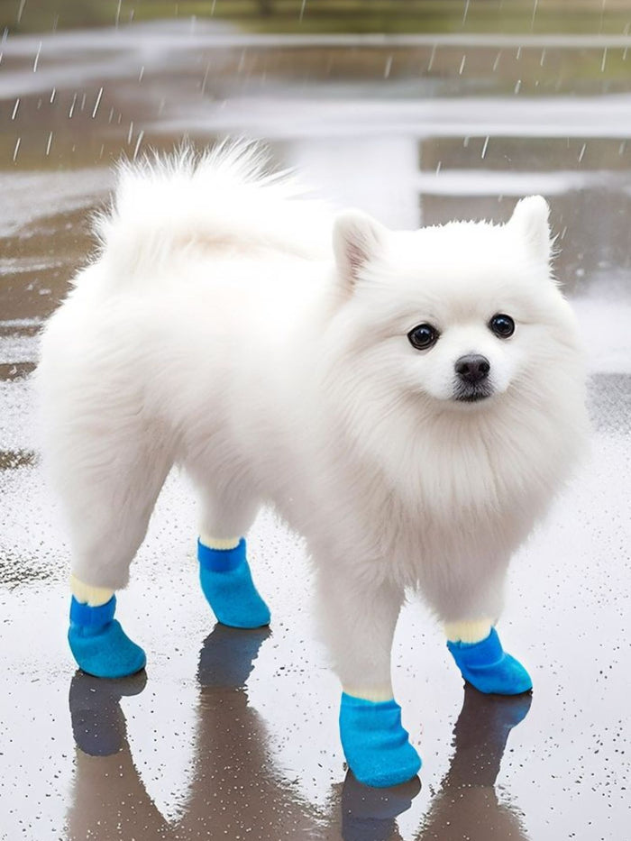 Waterproof Anti-Slip Pet Shoes - Lilixa.store