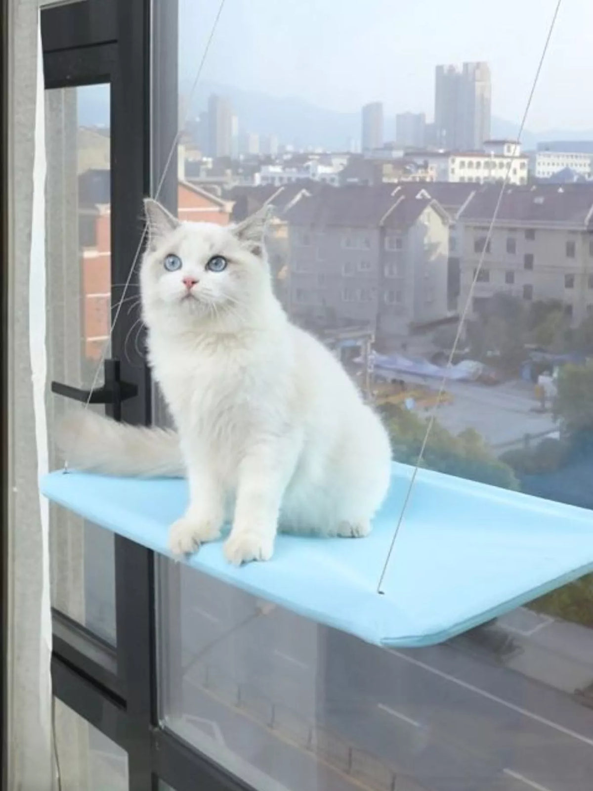 Window Perch Cat Hammock with Suction Cups - Lilixa.store