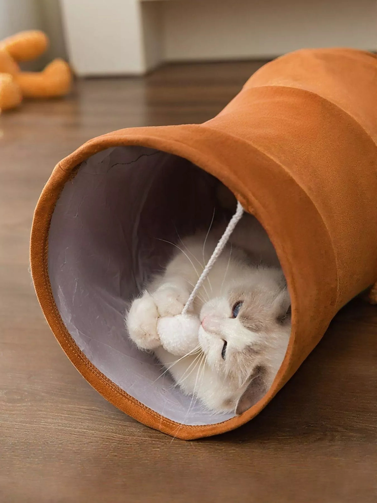 Foldable Cat Tunnel Toy - Lilixa.store