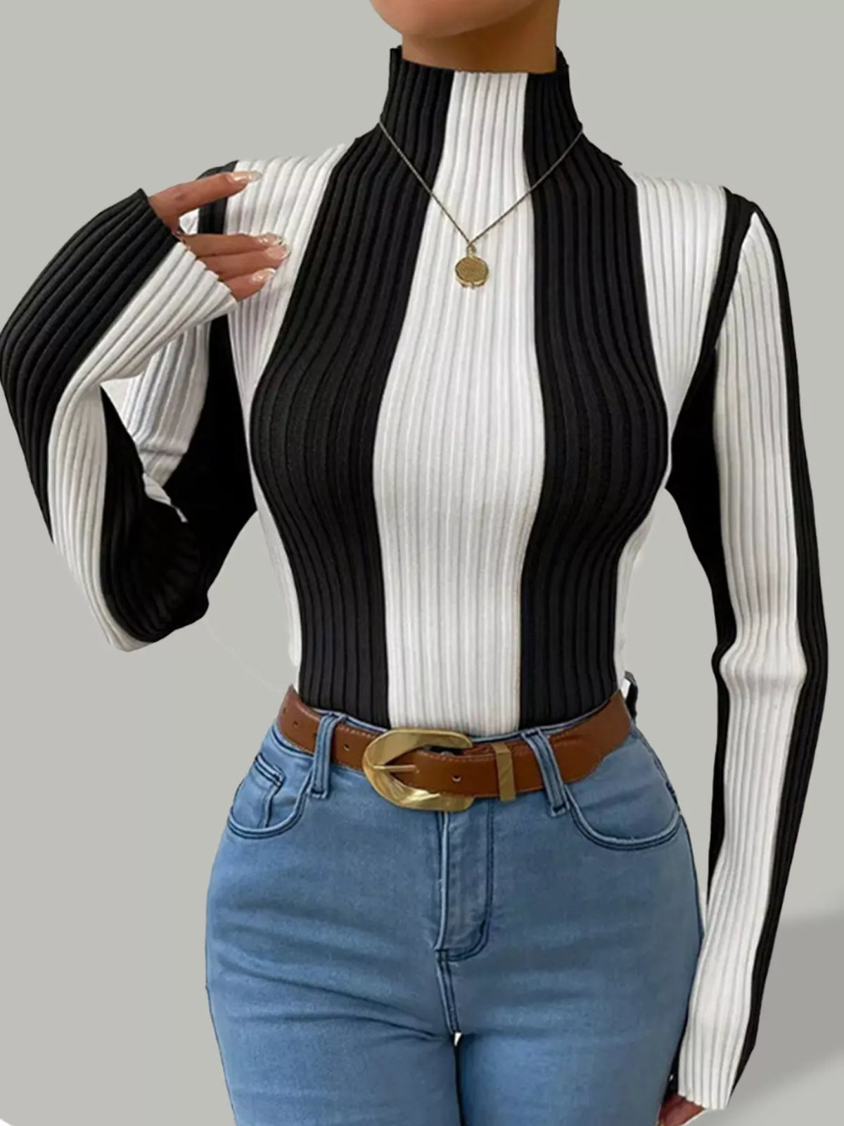 Color Block Turtleneck Ribbed Knit Top - Lilixa.store