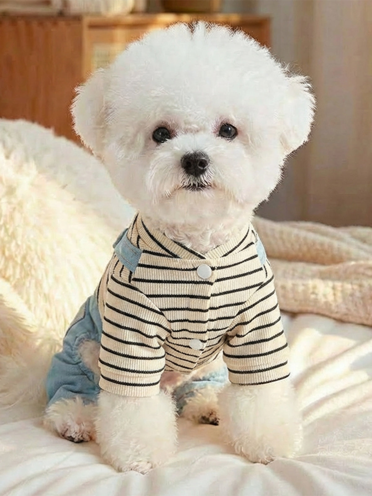 Denim Patchwork Pet Jumpsuit - Lilixa.store