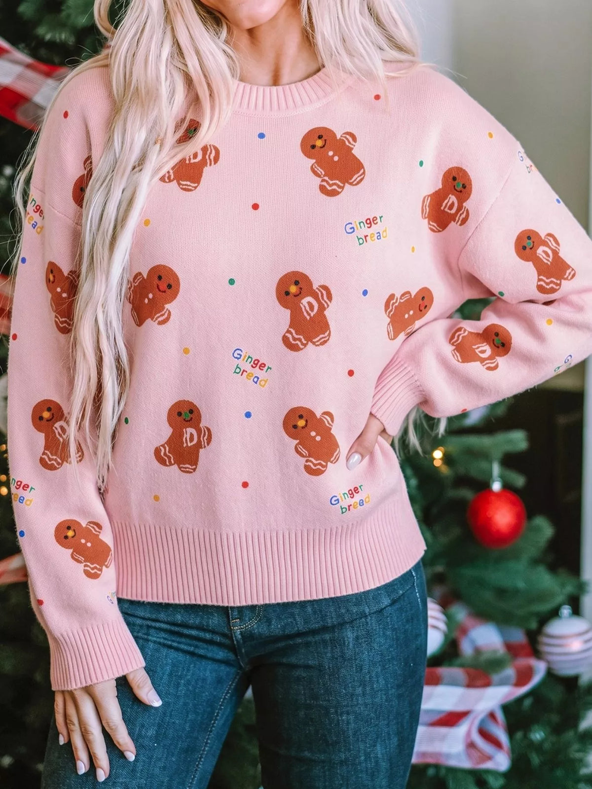 Gingerbread Pattern Long Sleeve Round Neck Sweater