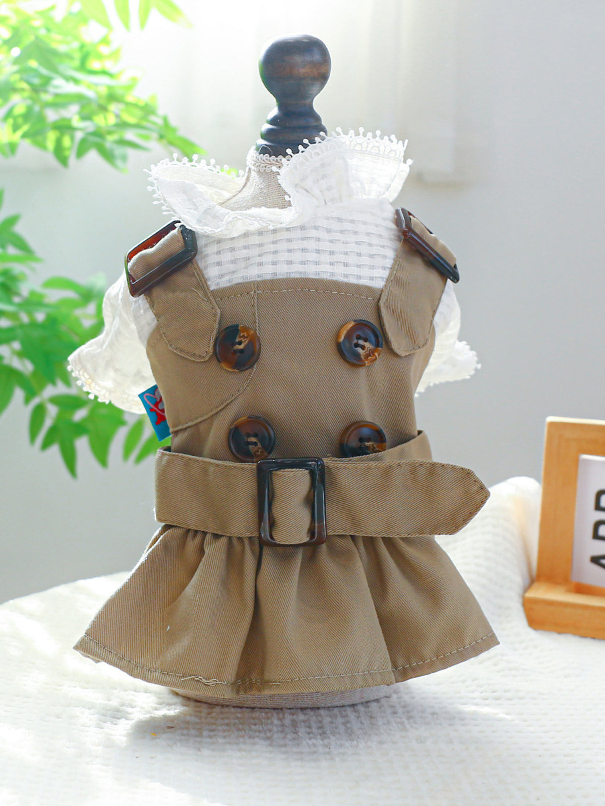 Buckle Pet Trench Coat - Lilixa.store
