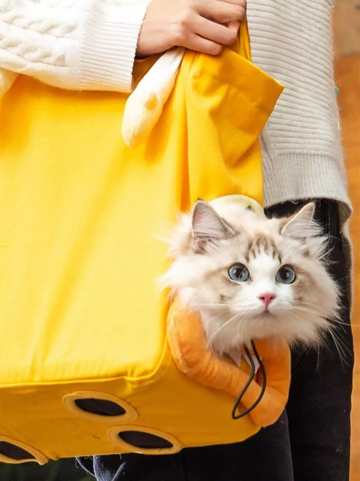 Portable Breathable Pet Bag - Lilixa.store
