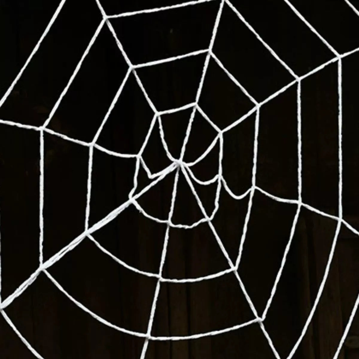 Halloween Decorative Spider Web - Lilixa.store