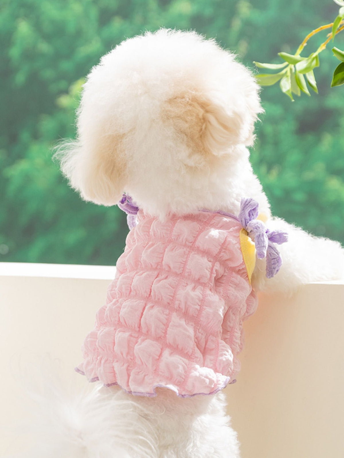 Bubble Textured Tie Shoulder Pet Top - Lilixa.store