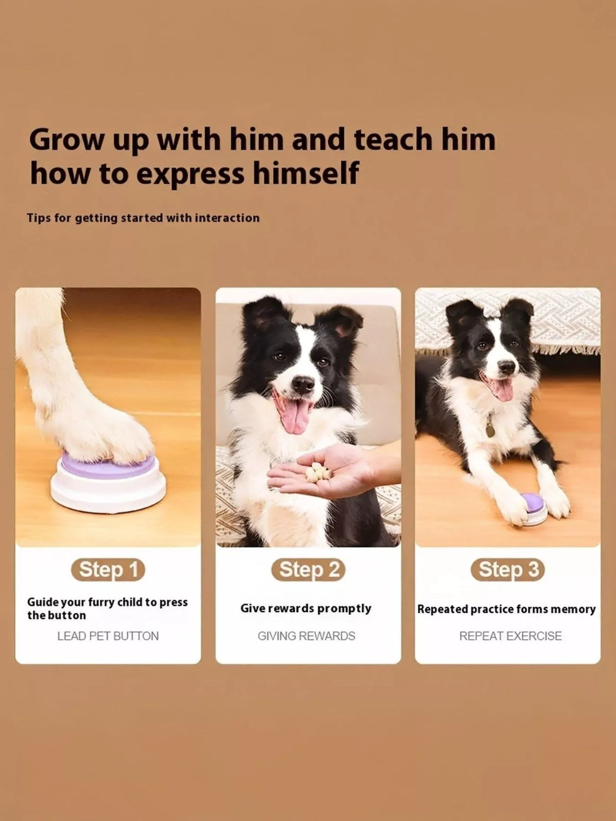 Recordable Talking Pet Sound Buttons - Lilixa.store