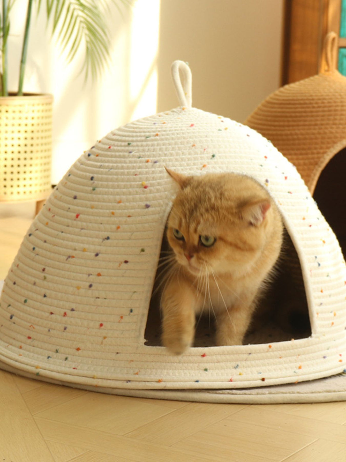 Cozy Rope Woven Cat Cave Bed with Handle - Lilixa.store