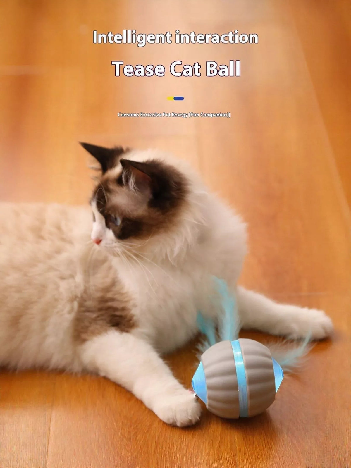 Interactive LED Sound Ball with Feather Teaser - Lilixa.store