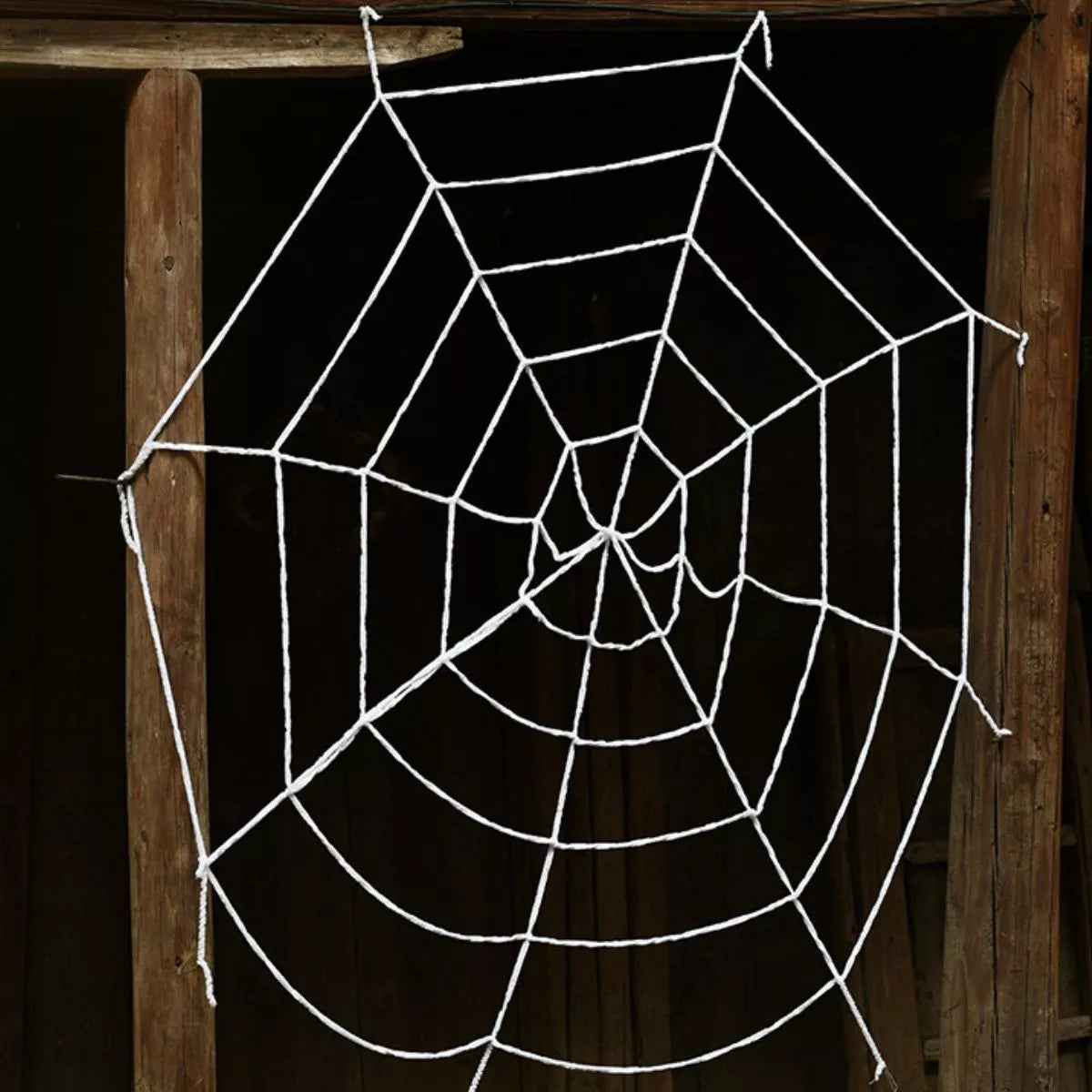 Halloween Decorative Spider Web - Lilixa.store