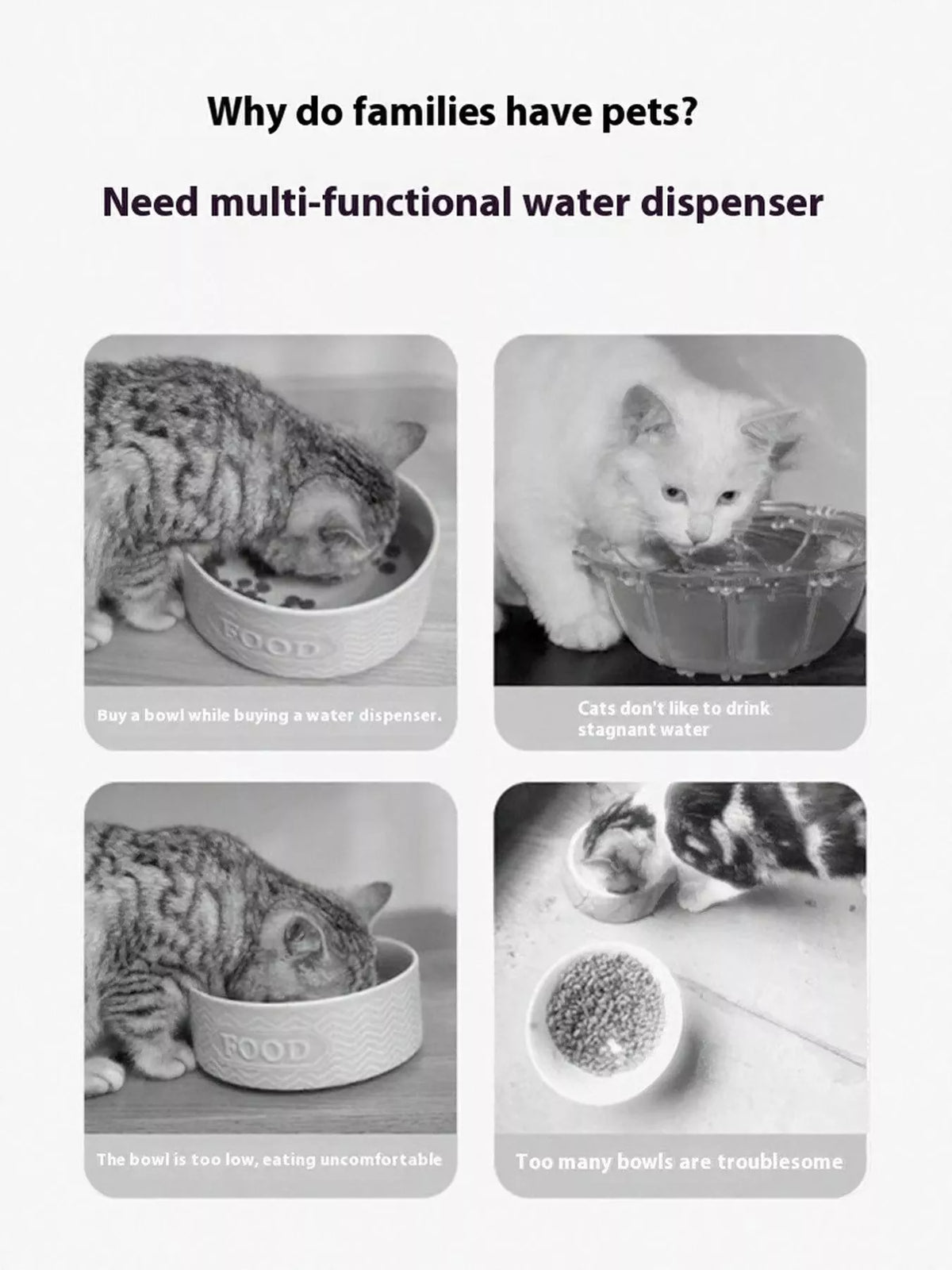 2-in-1 Automatic Water Dispenser & Food Bowl Pet Bowl