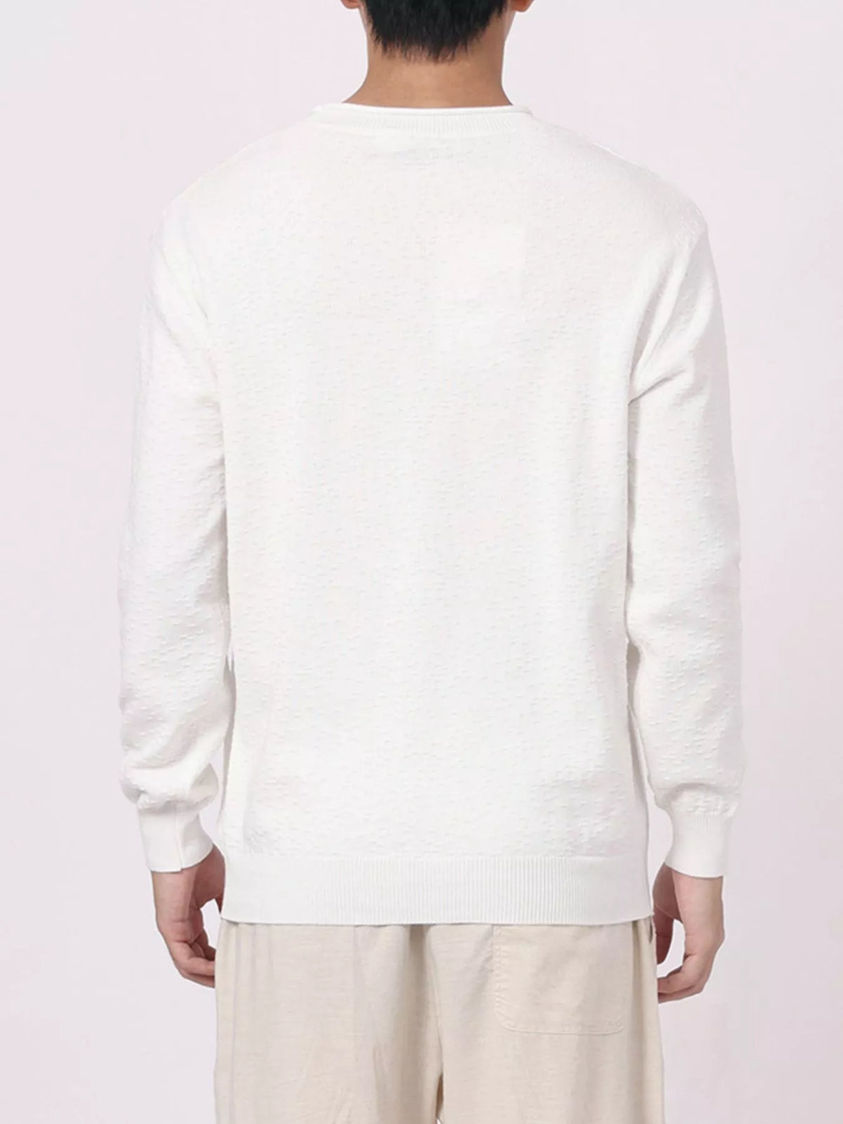 Men's Plus Size Textured Crew Neck Sweater, view 5