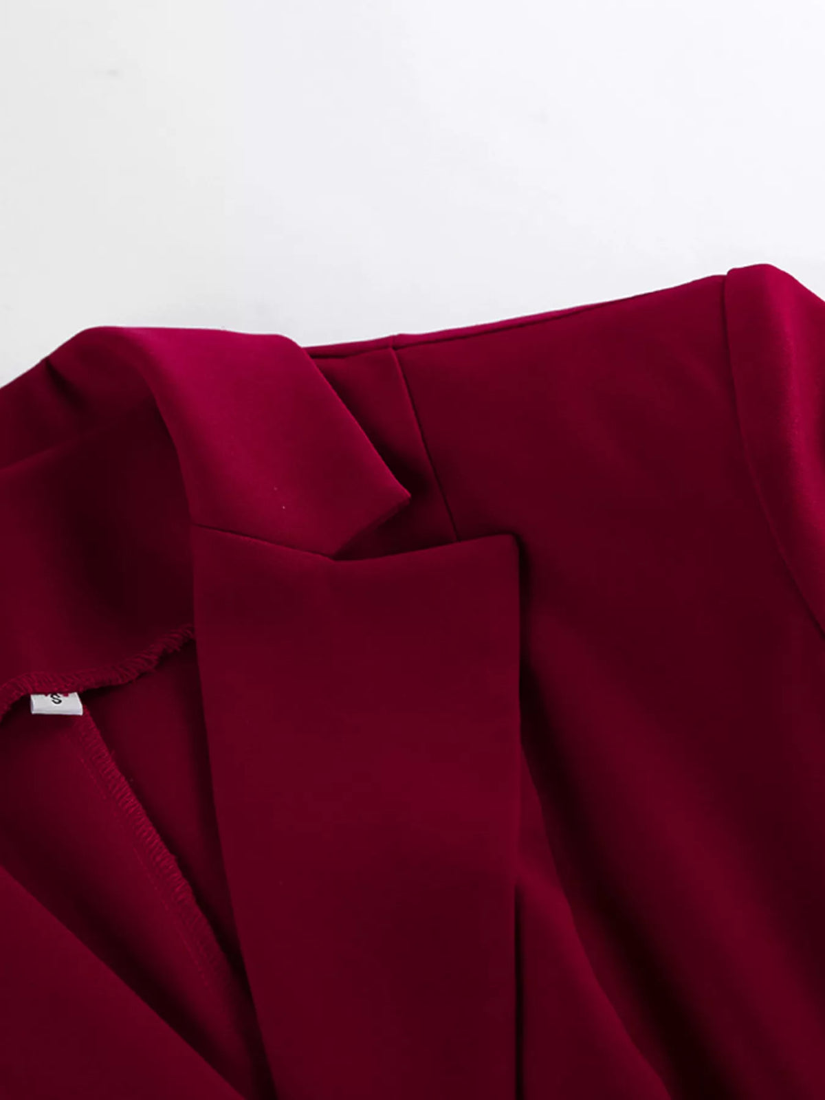 Lapel Collar Blazer and Wide-Leg Pants Set in Wine Red, view 23