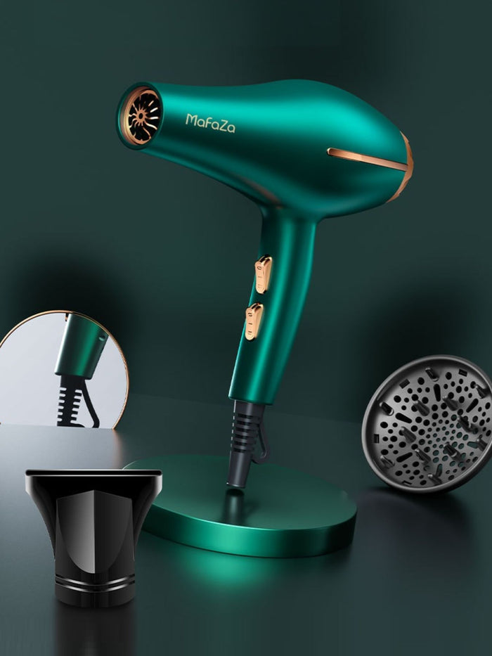 Adjustable Temperature Hair Dryer in Green