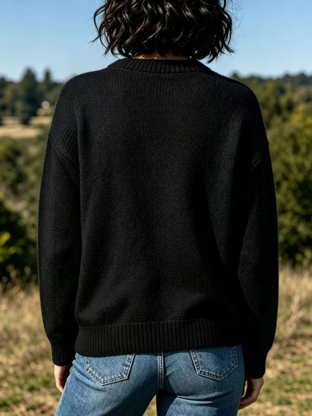 Lobster Graphic Crew Neck Sweater - Lilixa.store