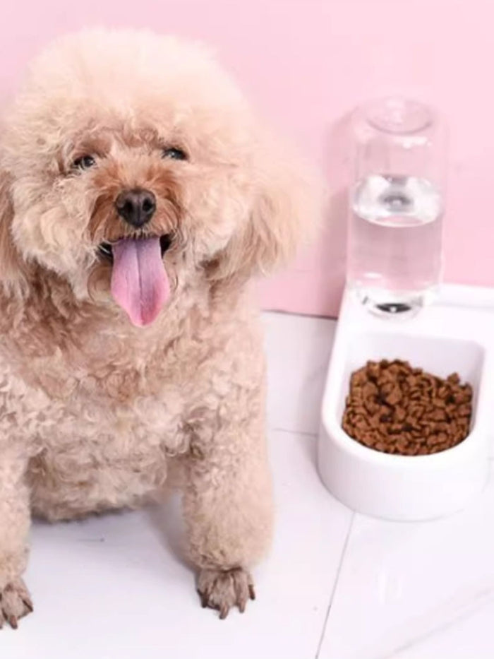 Automatic Water Refilling Pet Bowls - Lilixa.store