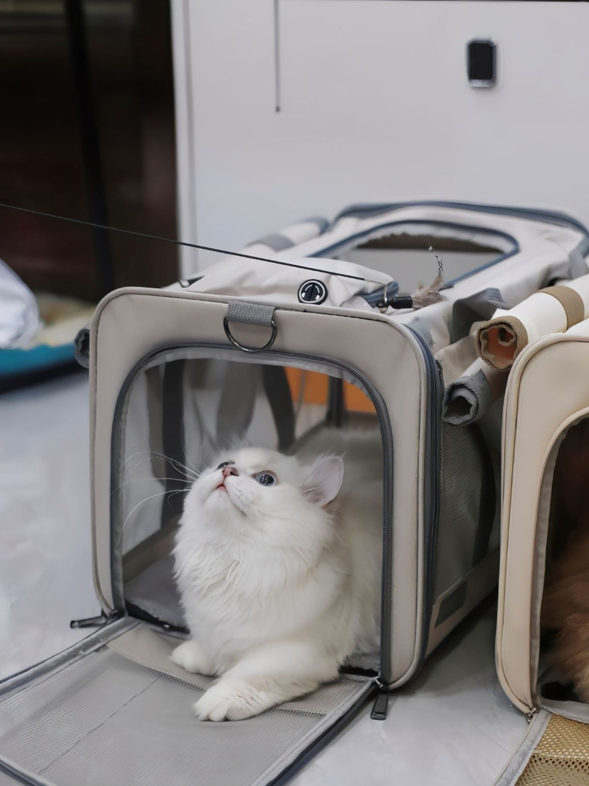 Comfortable Breathable Pet Carrier Bag - Lilixa.store