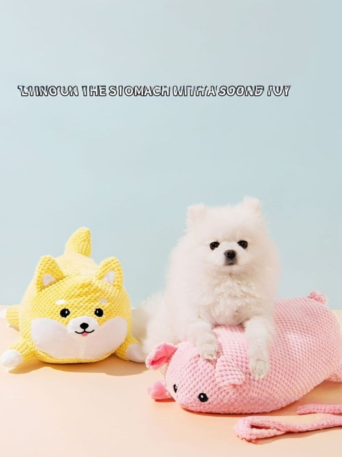 Squeaky Pet Plush Toy - Lilixa.store