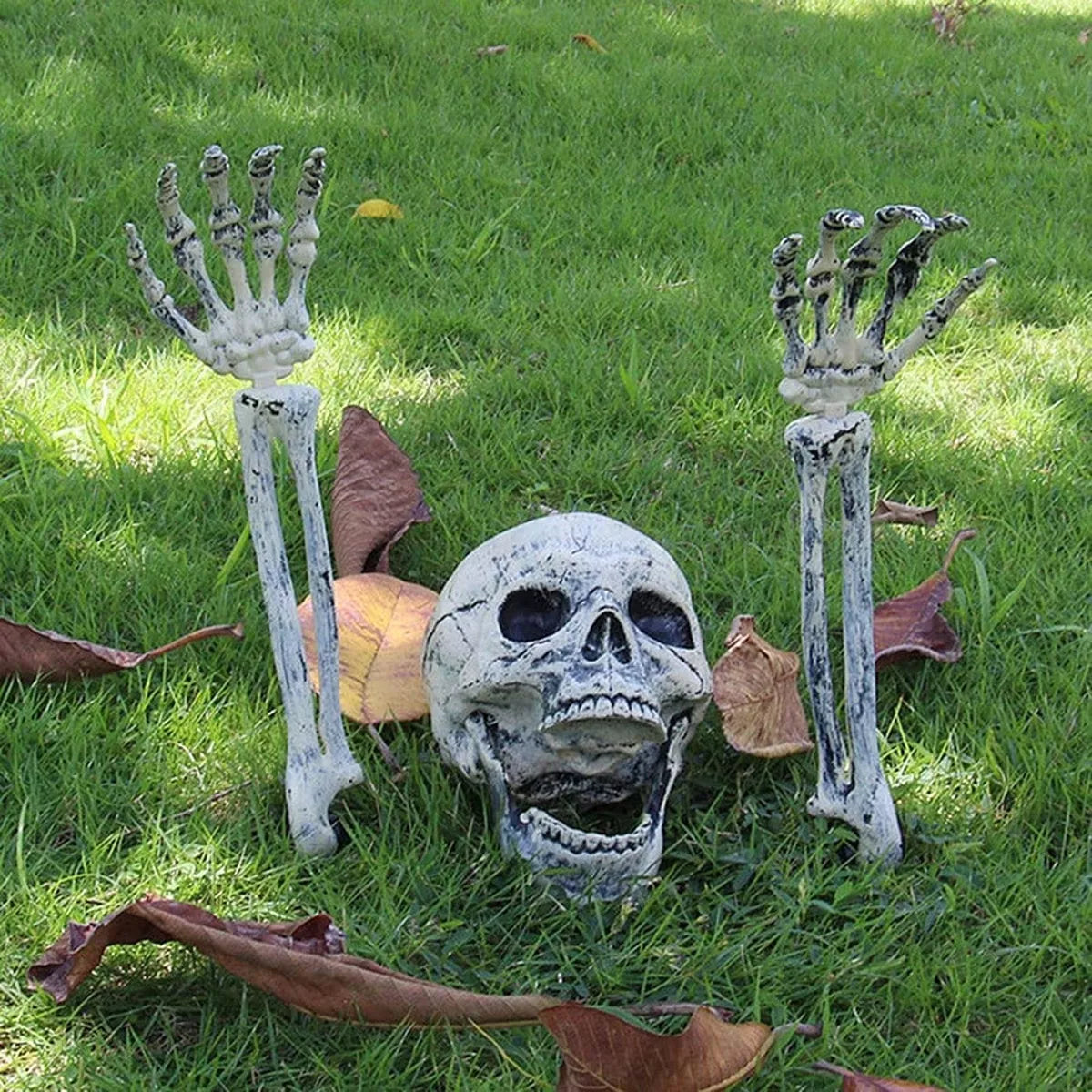 Halloween Skull and Skeleton Arms - Lilixa.store
