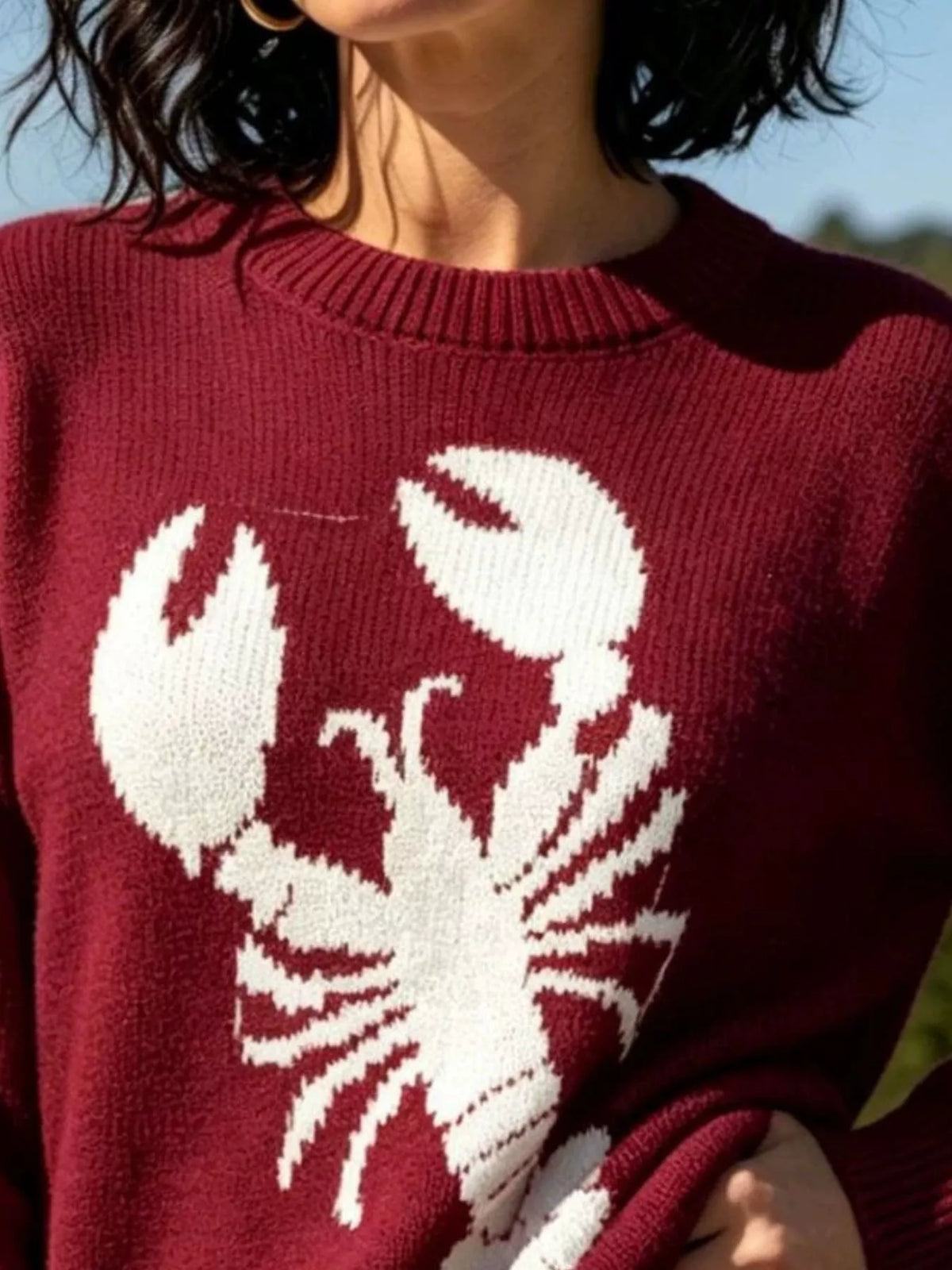 Lobster Graphic Crew Neck Sweater - Lilixa.store