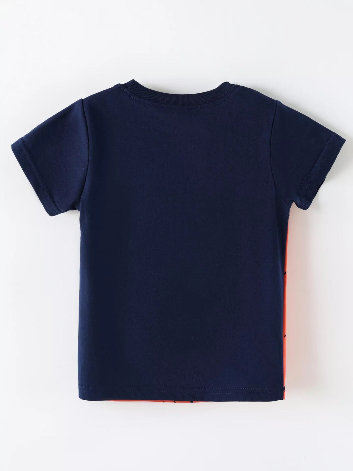 Children's Lion Graphic Round Neck T-Shirt - Lilixa.store