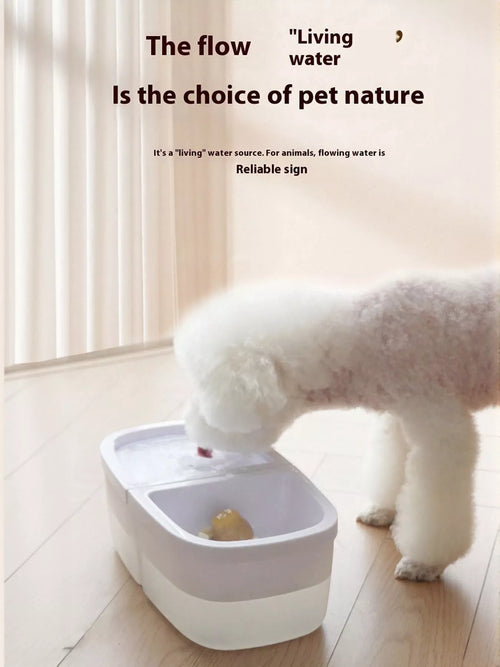 2-in-1 Automatic Water Dispenser & Food Bowl Pet Bowl - Lilixa.store