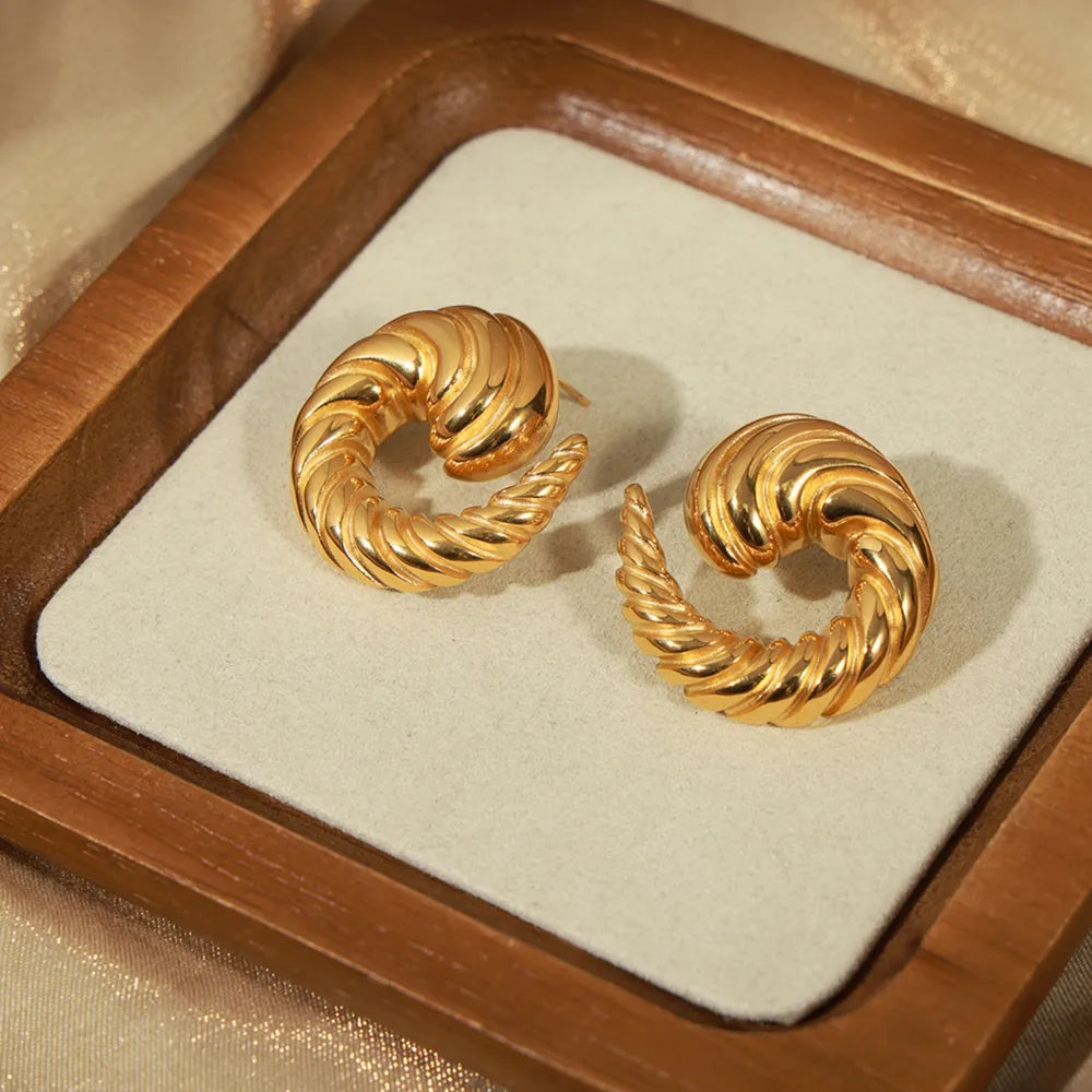 Titanium Steel Spiral Shape Stud Earrings - Lilixa.store
