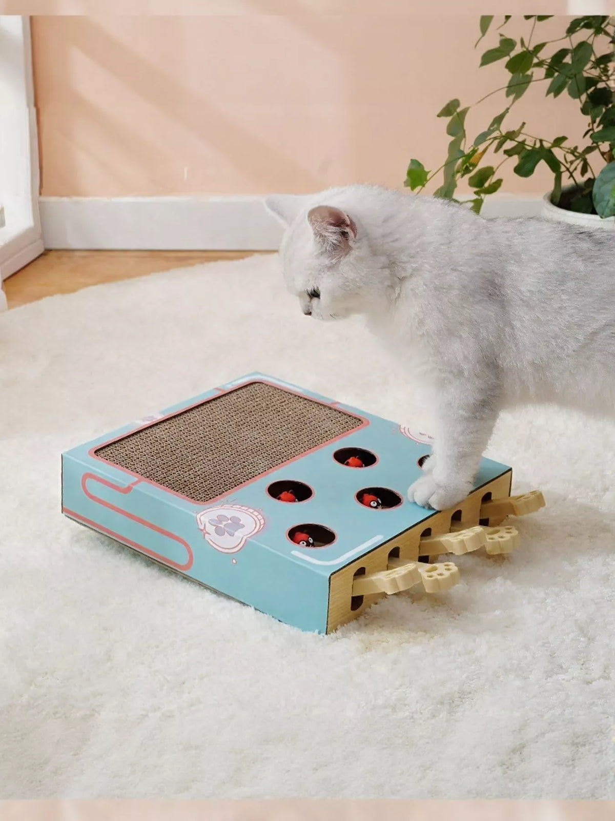 Interactive Whack-A-Mole Cat Toy Box - Lilixa.store