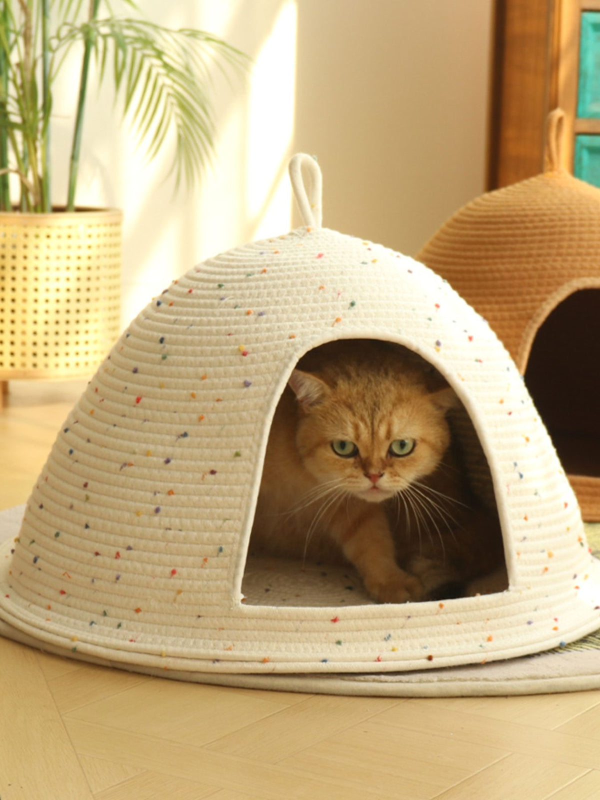 Cozy Rope Woven Cat Cave Bed with Handle - Lilixa.store