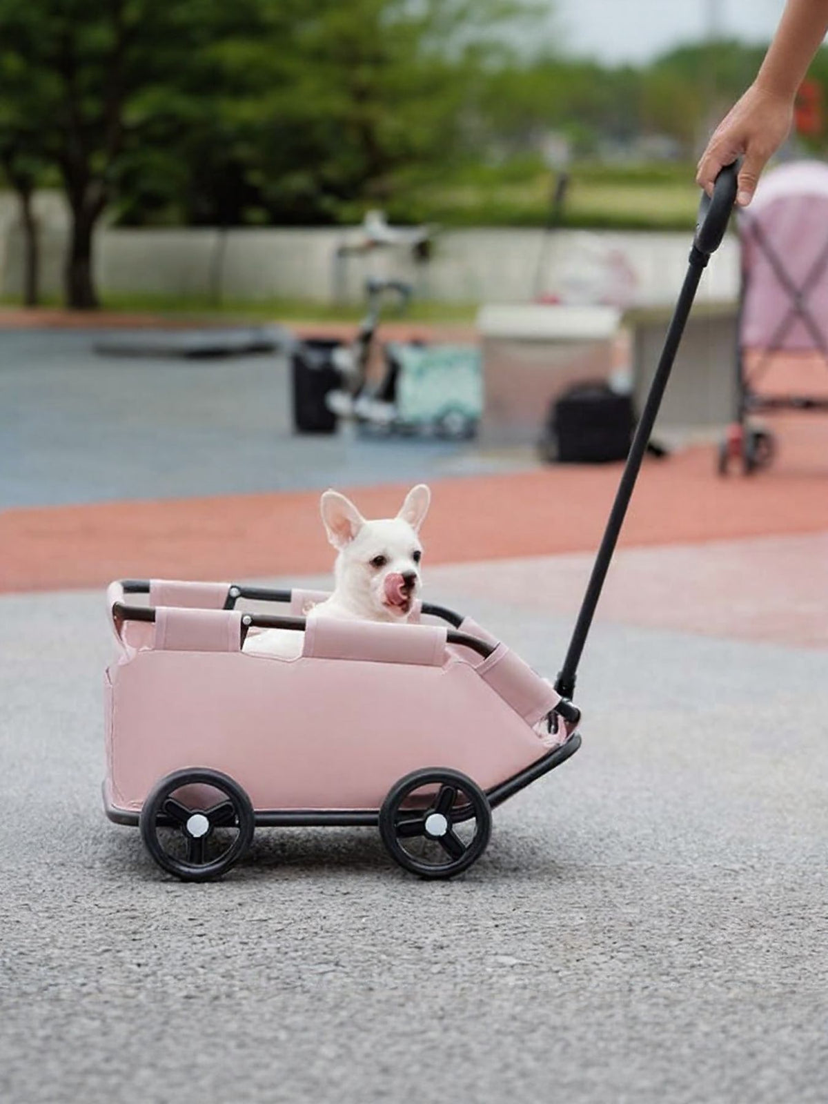 Portable Folding Pet Stroller Wagon - Lilixa.store