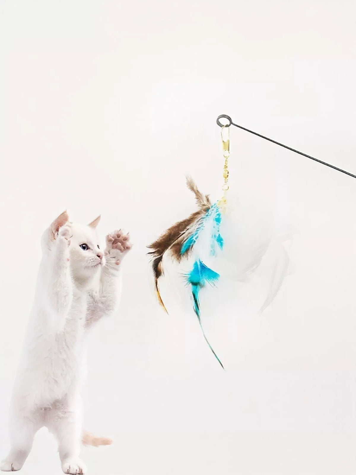 Interactive Feather Teaser Cat Wand Toy - Lilixa.store