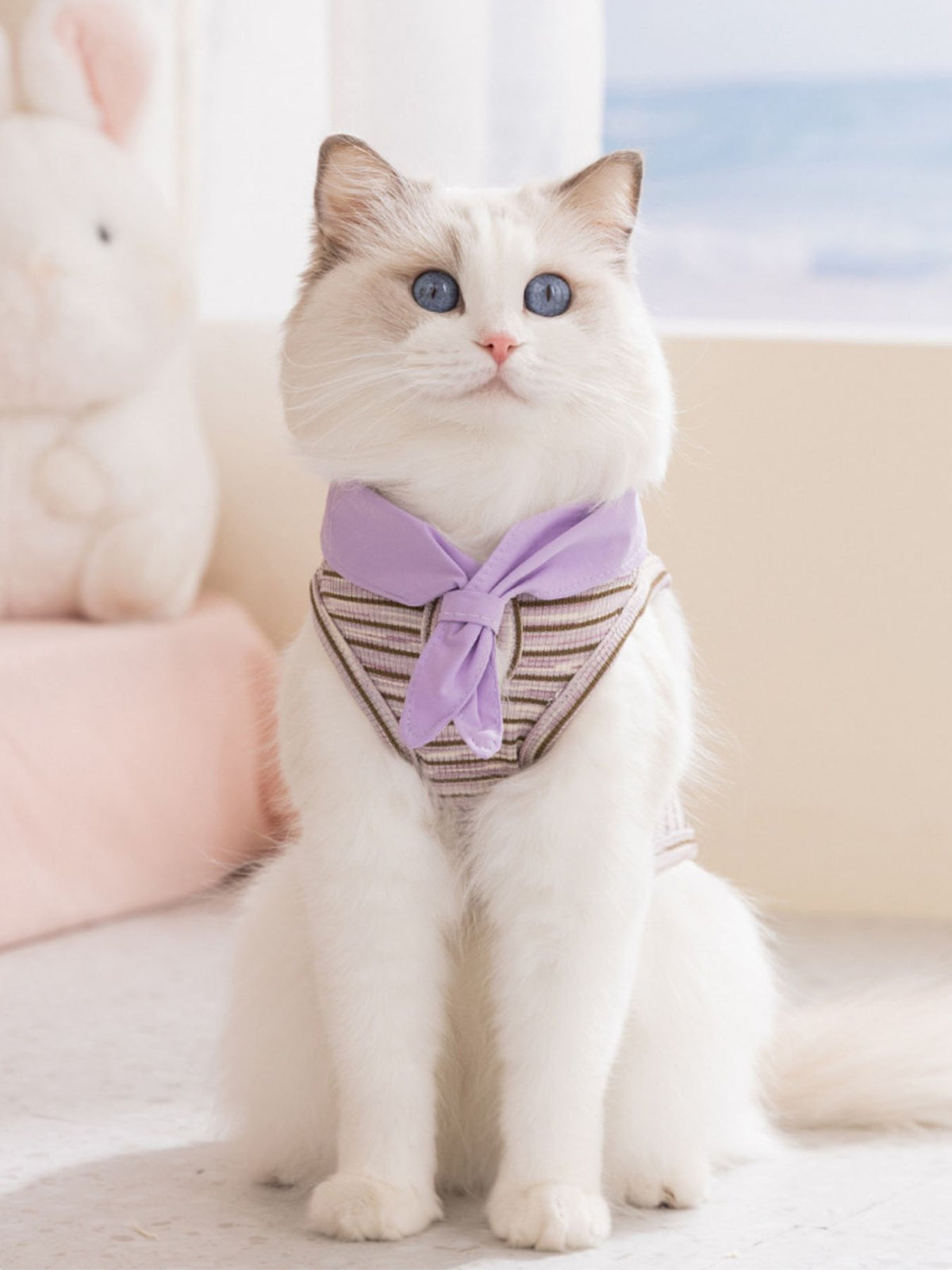 Striped Tied Pet Top - Lilixa.store