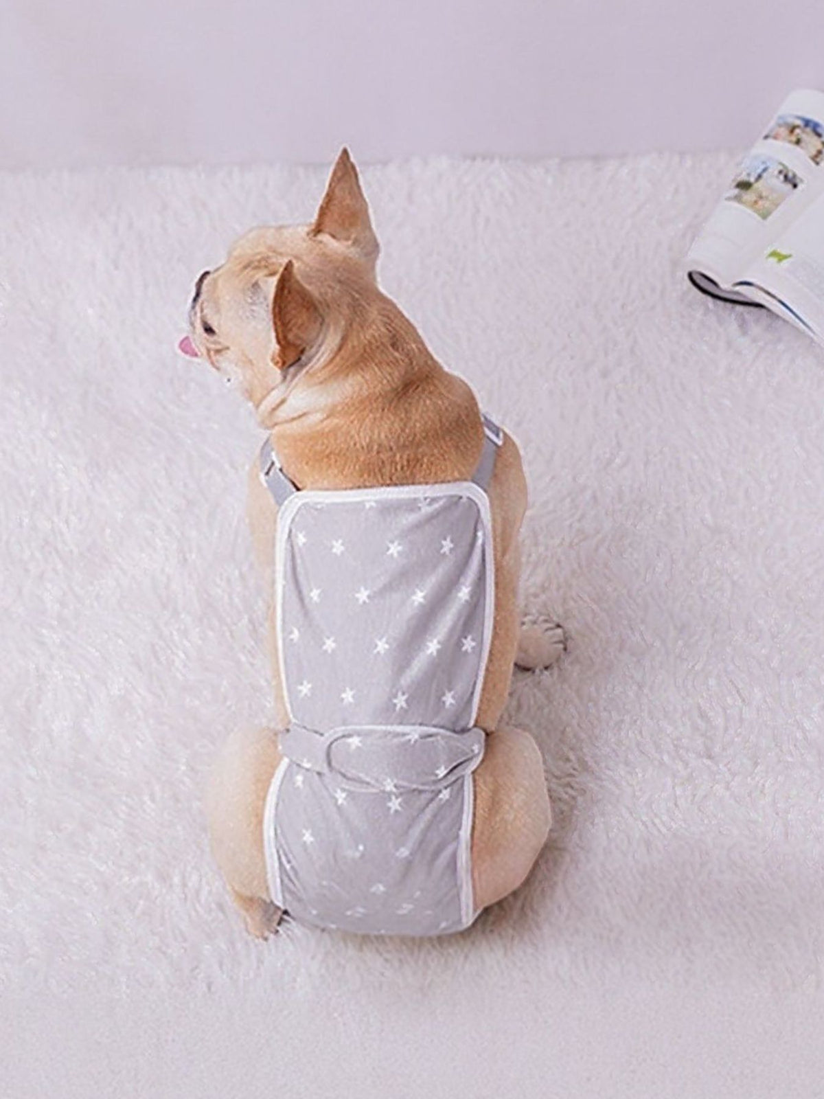 Anti-Harassment Pet Functional Clothing - Lilixa.store