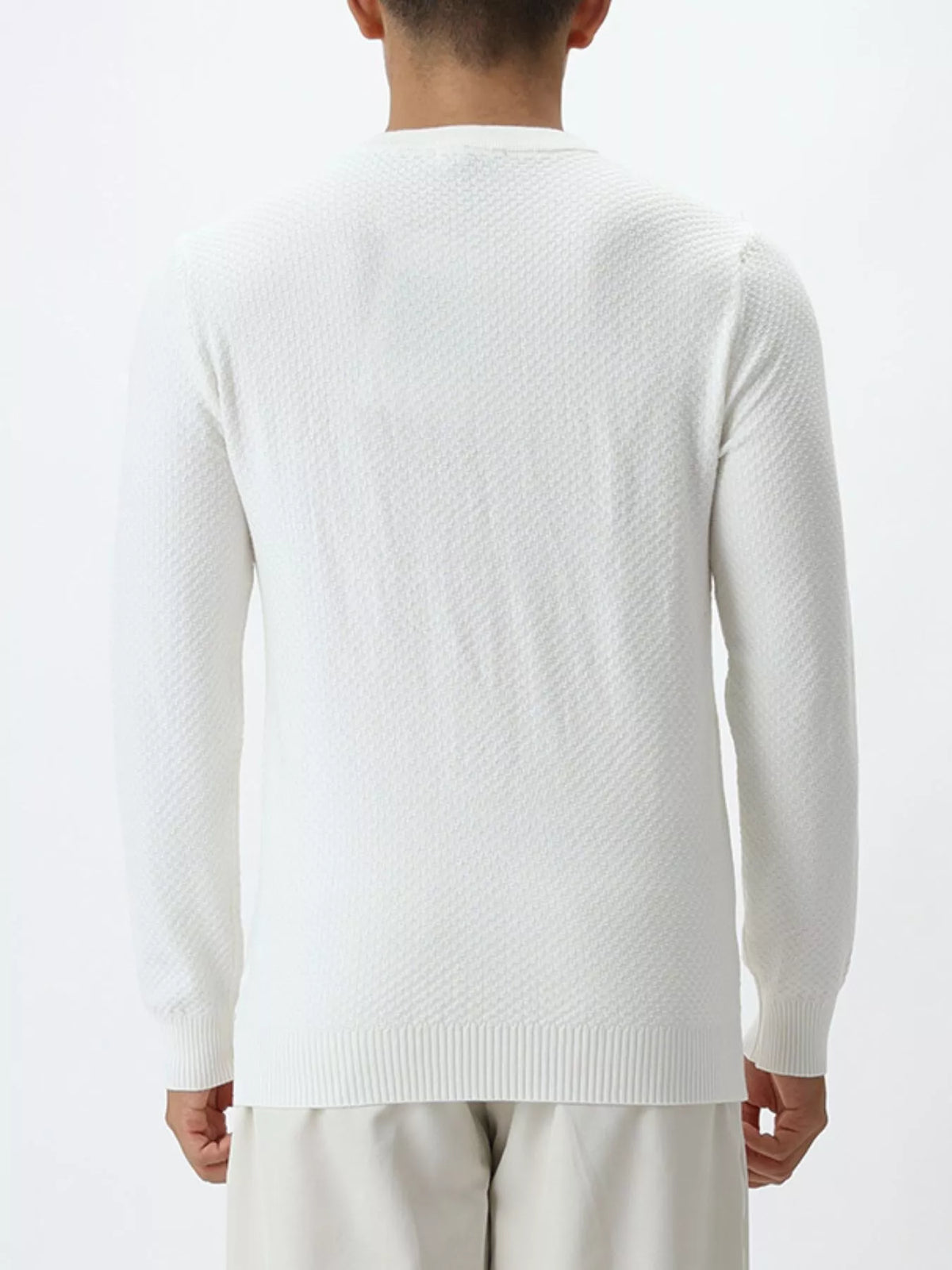 Men's Plus Size Textured Crew Neck Sweater