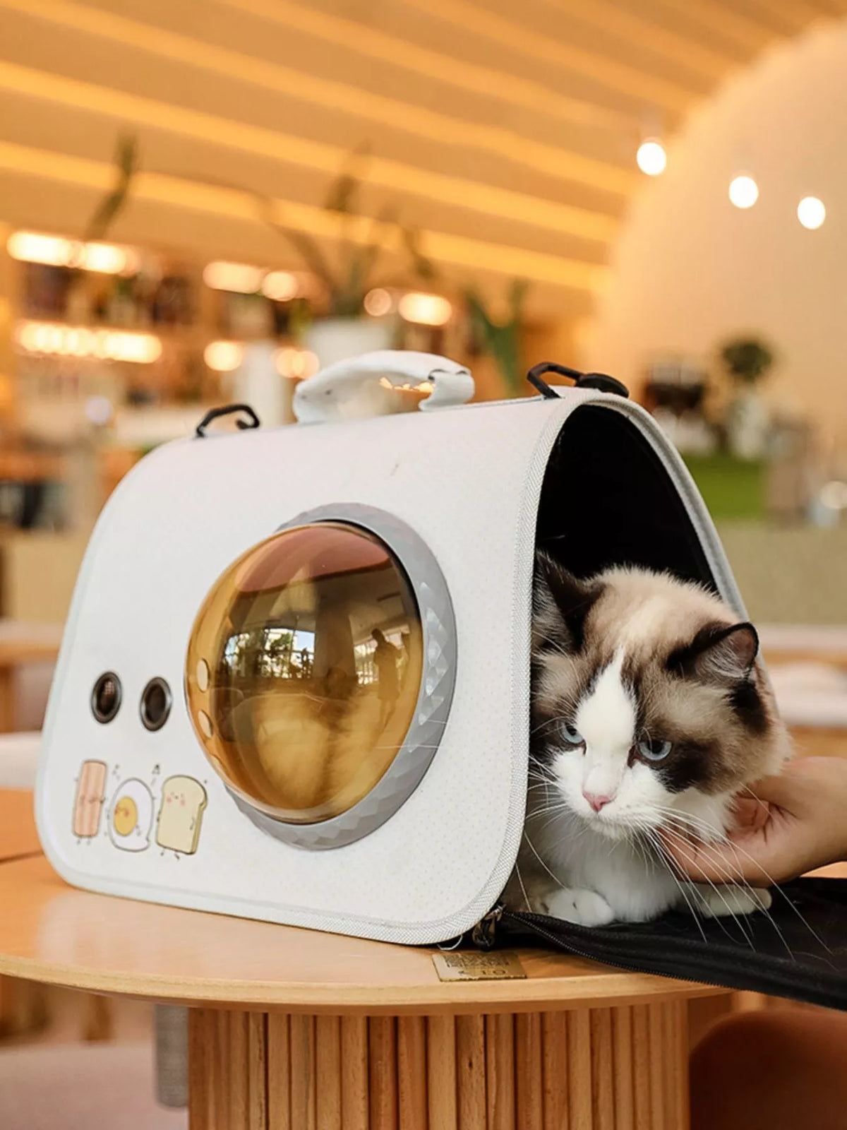 Portable Bubble Window Pet Carrier Bag - Lilixa.store