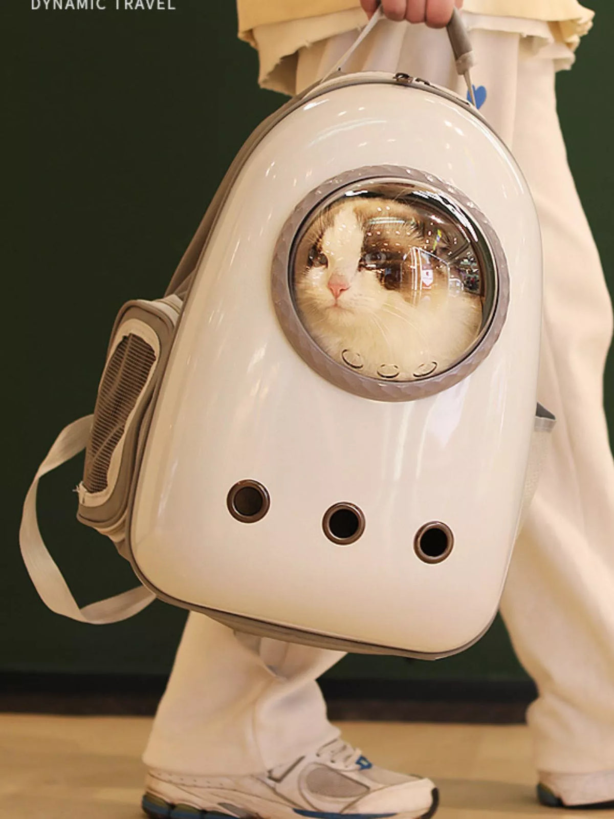 Space Capsule Transparent Pet Carrier Backpack - Lilixa.store