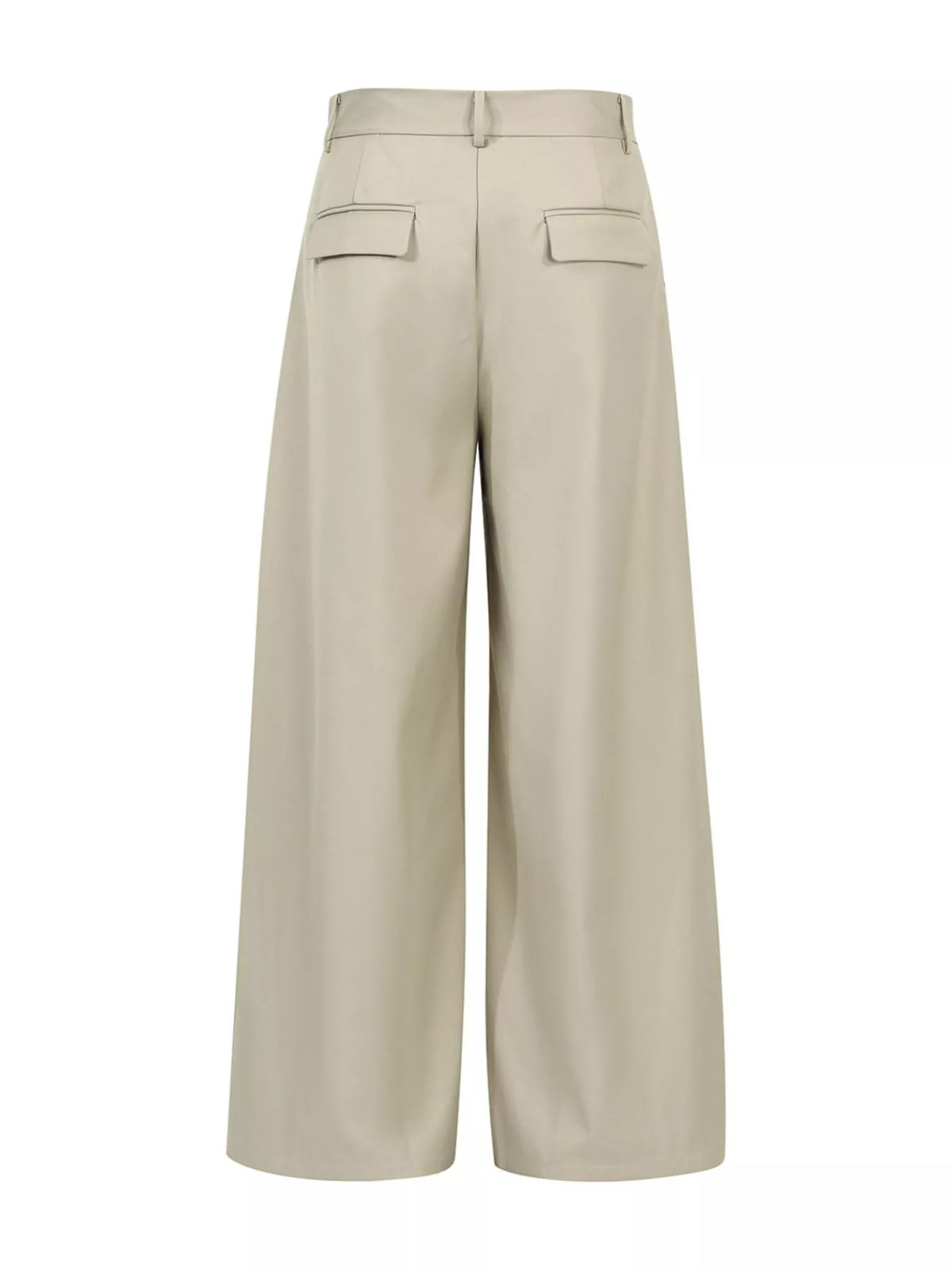 Men's Wide-Leg Pleated Pants, view 2